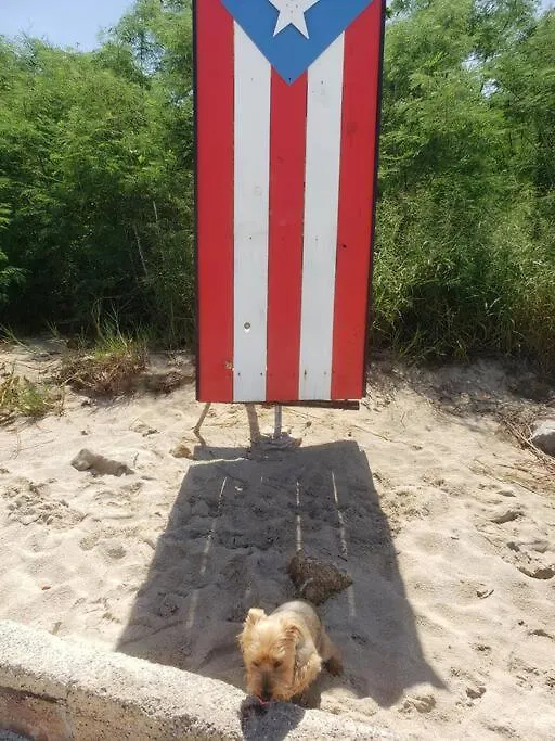 The Red Door Beach House, Buye Beach 카보조로 푸에르토리코